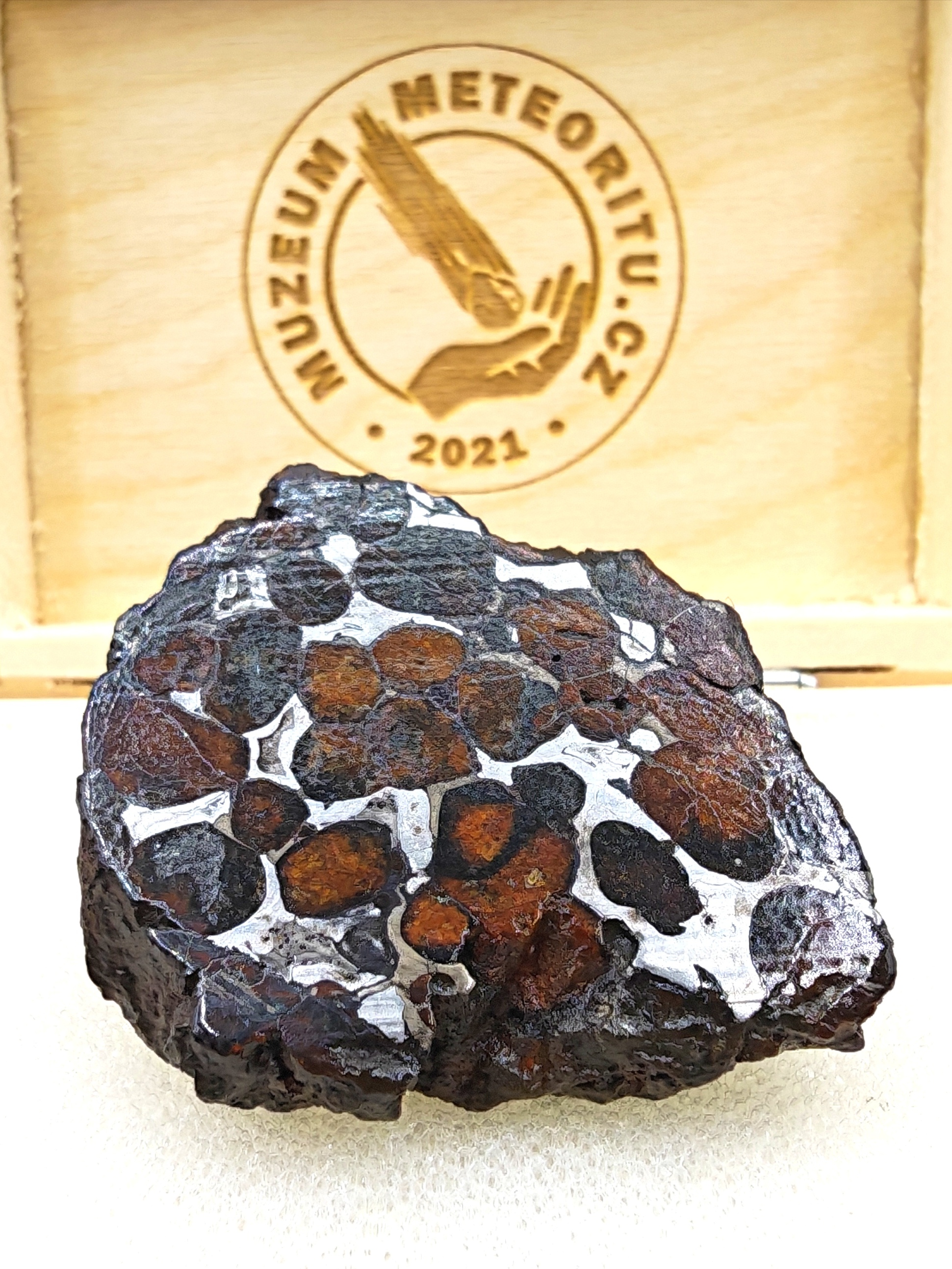 IMG_20251104_111144_edit_58545392870895